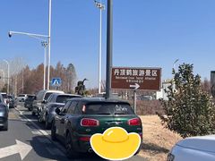 -盐城丹顶鹤湿地生态旅游区