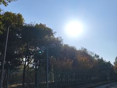 -西安浐灞国家湿地公园