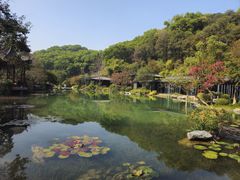-云溪植物园
