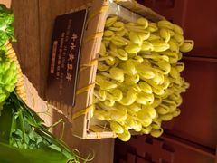 -巴奴毛肚火锅(龙湖锦艺城店)