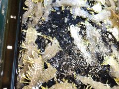 -海鲜e族(马王堆店)