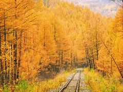 -莫尔道嘎国家森林公园