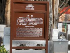 -北京市劳动人民文化宫(太庙)