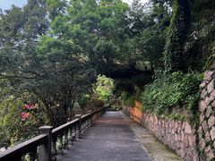 -青龙山公园