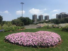 -深圳国际园林花卉博览园