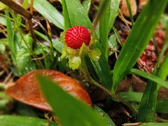 -象头山国家级自然保护区