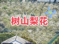 -树山生态村