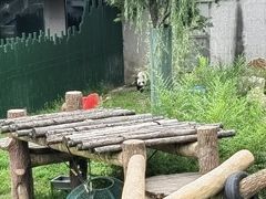 -沈阳森林动物园