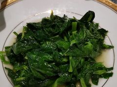 -蝶园·装修中(BFC外滩金融中心店)