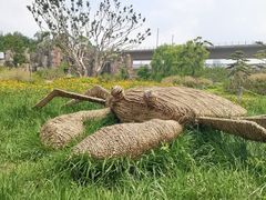 -秀丽东方
