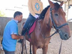 -松声马术俱乐部