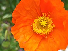 -名花谷生态庄园