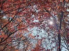 -本溪老边沟风景区