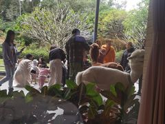 -南宁荔园维景国际酒店·荔园中餐厅