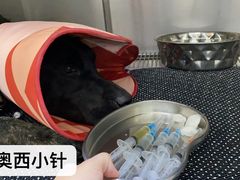 -康旭宠物医院(郑州总院)