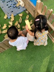 -萌宠亲子动物乐园(槐房万达店)