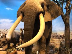 -陕西自然博物馆