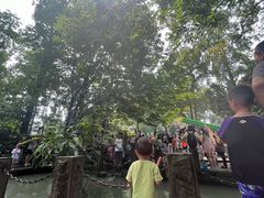 -成都市活水公园