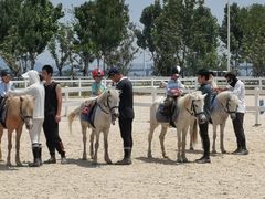 -美吉姆早教(恒隆中心)