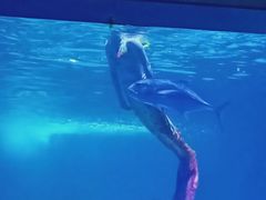 -常州海昌海洋探索馆