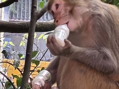-黔灵山公园-南门售票处