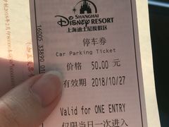 -迪士尼乐园停车场