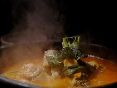 酸汤鱼-毛辣果·酸