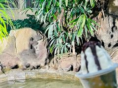 -郑州银基黄帝宫御温泉