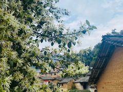 -杨家堂村