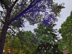 -尚湖风景区