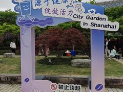 -嘉定紫藤园