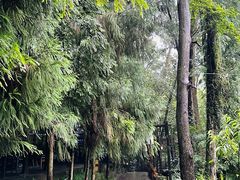 -都江堰普照寺