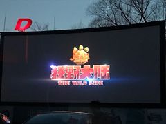 -枫花园汽车电影院(朝阳公园店)