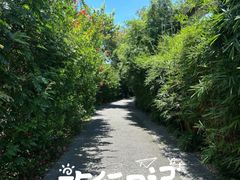 -华侨城湿地公园