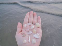 -白城沙滩