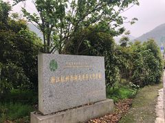 -龙坞茶村