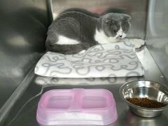 -芭比堂动物医院·犬猫全科·异宠专科(雁塔分院)