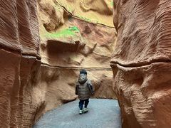 -陕西自然博物馆