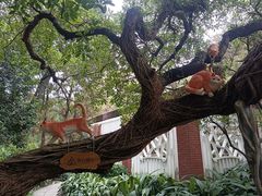 -广州兰圃