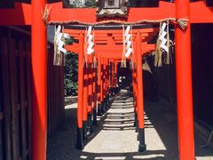 -天王寺公园