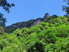 -青峰峡国家森林公园