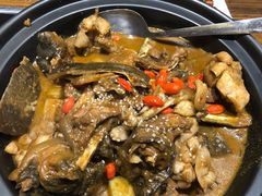 甲鱼牛蛙锅-洪湘记川湘·甲鱼馆(四海凯悦美食广场店)