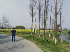 -田园东方蜜桃村的田野营地