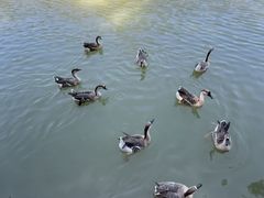 -广州白江湖森林公园