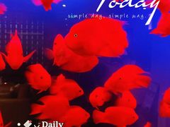 -宫七SPA·高端Massage(浦东大道店)