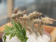 -王家渡火锅店(棕榈泉店)