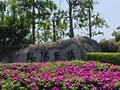 -恩阳古镇