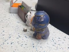 -半岛宠物医院24小时(白果林店)