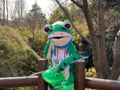 -上海滨江森林公园