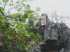 -千岛湖石林